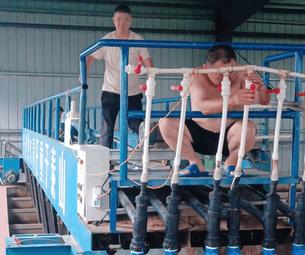 图片 6.png 图片 6.png