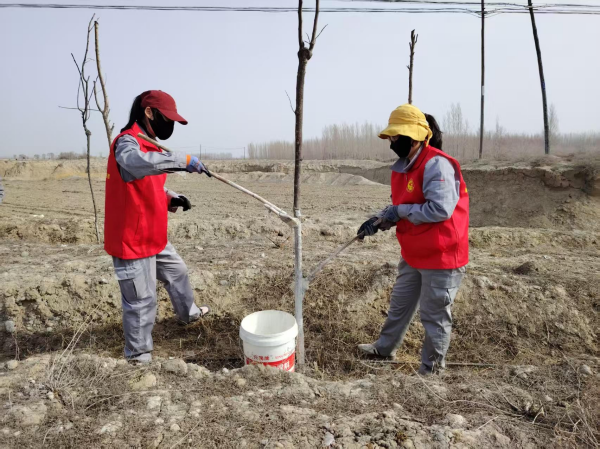 图片 4.png 图片 4.png