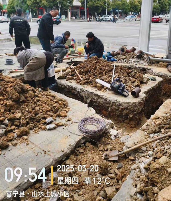 图片 1.png 图片 1.png