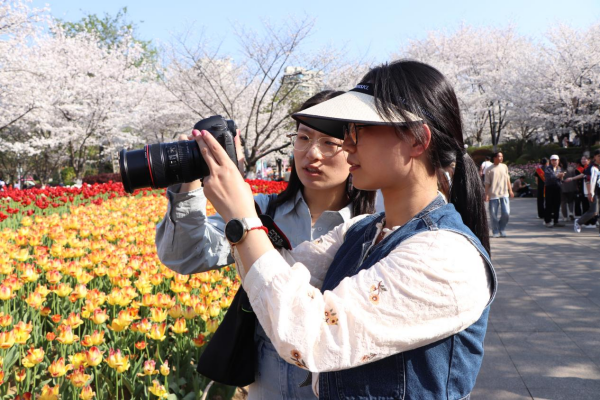 图片 2.png 图片 2.png