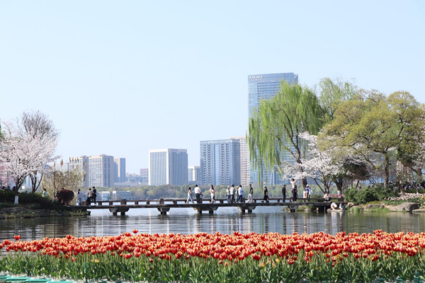 图片 11.png 图片 11.png