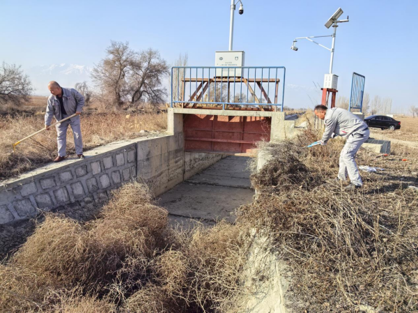 图片 3.png 图片 3.png