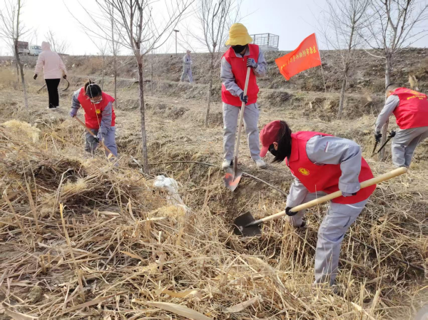 图片 1.png 图片 1.png