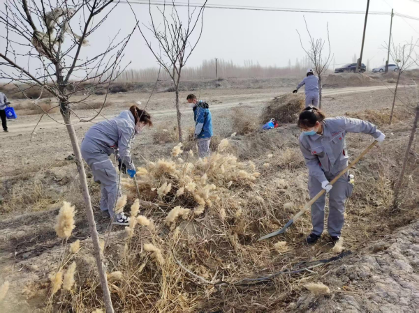 图片 3.png 图片 3.png