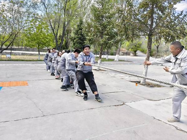 图片 3.png 图片 3.png