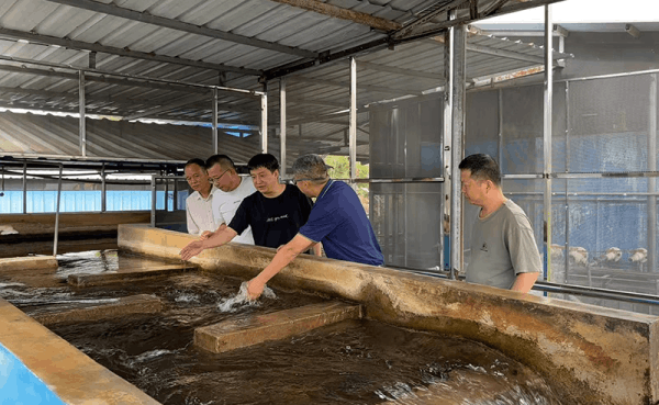 图片 3.png 图片 3.png