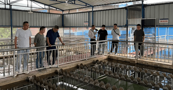 图片 2.png 图片 2.png