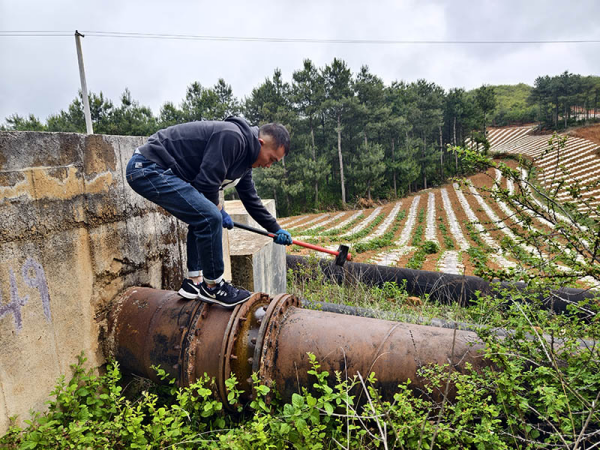 图片 3.png 图片 3.png