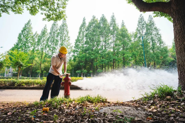 图片 2.png 图片 2.png