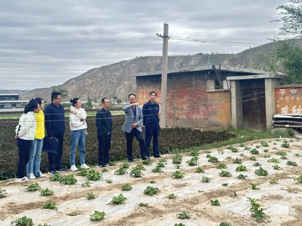 图片 6.png 图片 6.png