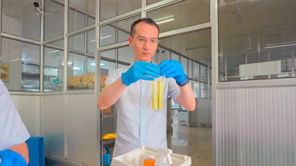 图片 1.png 图片 1.png