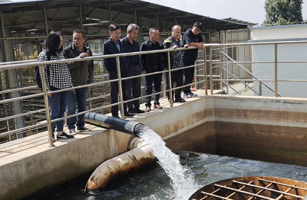 图片 1.png 图片 1.png