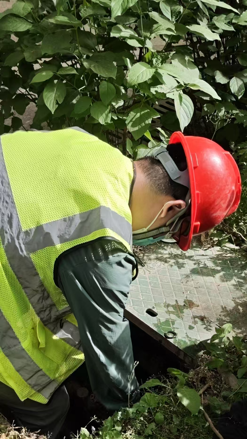 2025-06-03T07:00:48.png 2025-06-03T07:00:48.png