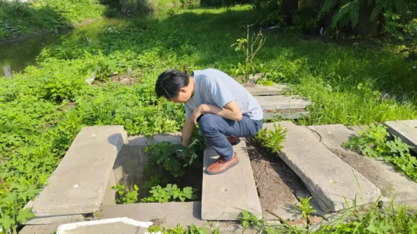 图片 22.png 图片 22.png