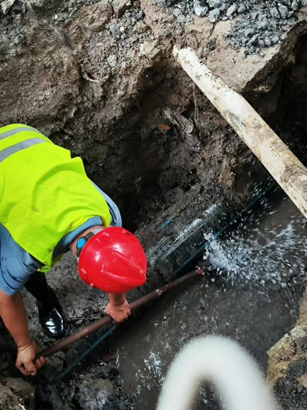 图片 21.png 图片 21.png