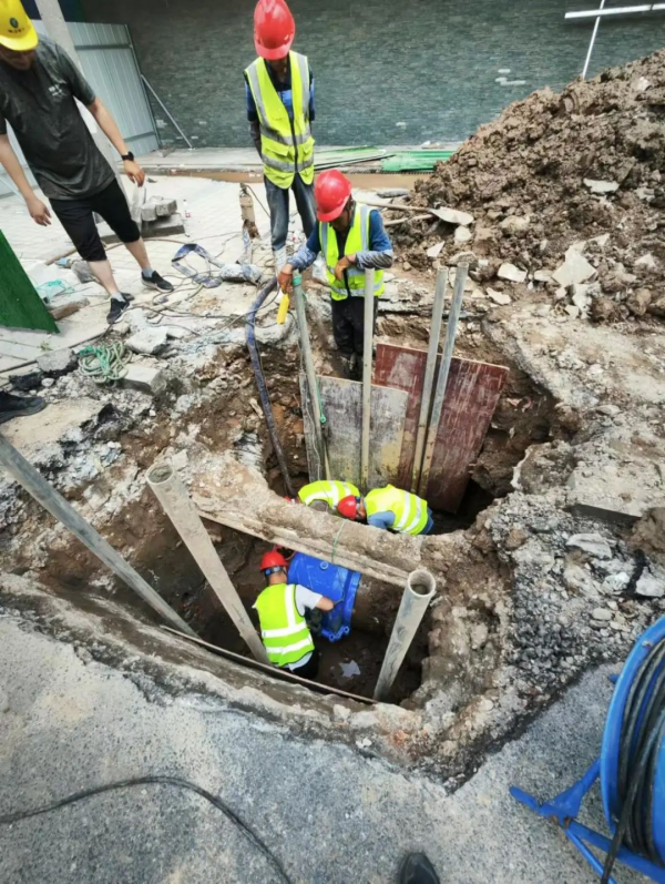 图片 19.png 图片 19.png