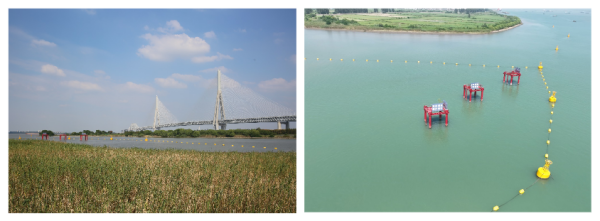 图片 7.png 图片 7.png