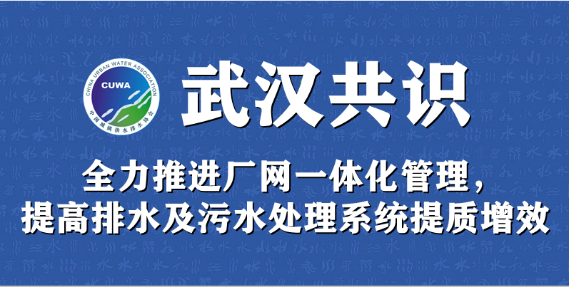 武汉共识｜全力推进厂网一体化管理，提高排水及污水处理系统提质增效