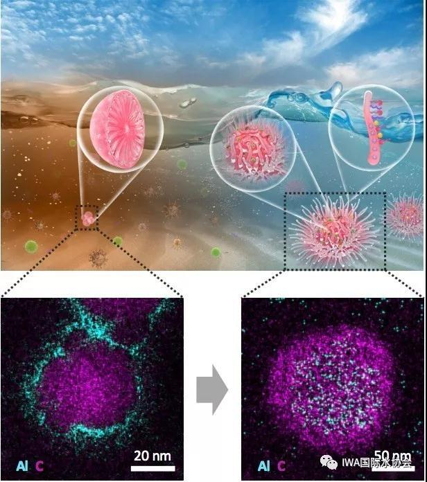 2023-09-18T06:06:27.png 2023-09-18T06:06:27.png