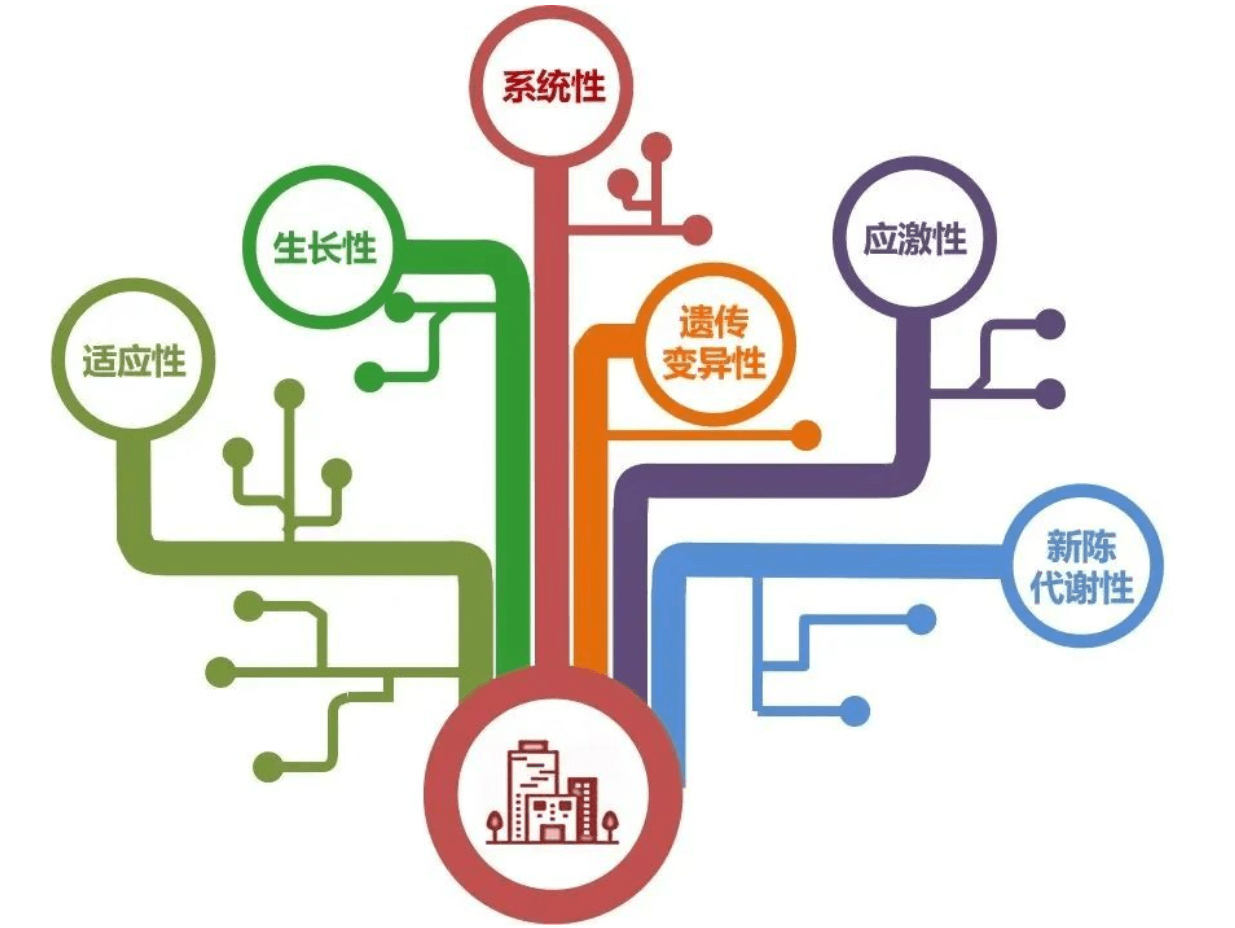 2023-10-29T06:40:04.png 2023-10-29T06:40:04.png