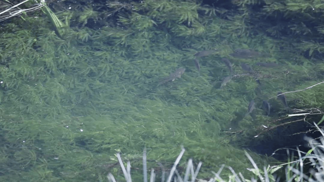 2023-10-29T09:40:42.png 2023-10-29T09:40:42.png