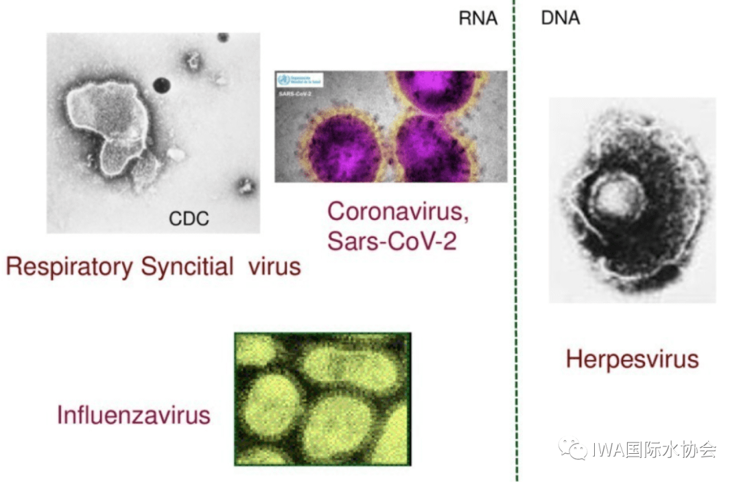 2023-10-30T00:59:08.png 2023-10-30T00:59:08.png