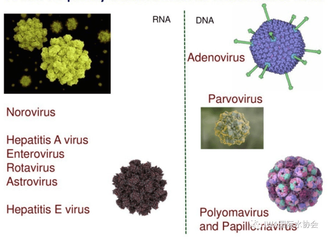 2023-10-30T00:58:48.png 2023-10-30T00:58:48.png