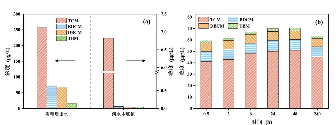 2023-11-01T02:51:07.png 2023-11-01T02:51:07.png