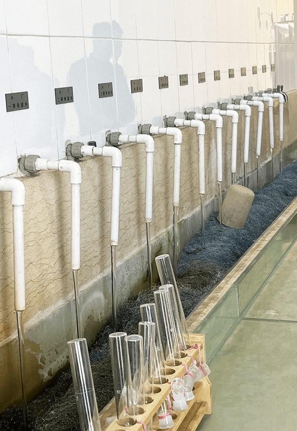 2023-11-09T02:50:15.png 2023-11-09T02:50:15.png