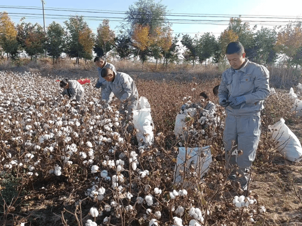 2023-11-10T02:29:53.png 2023-11-10T02:29:53.png