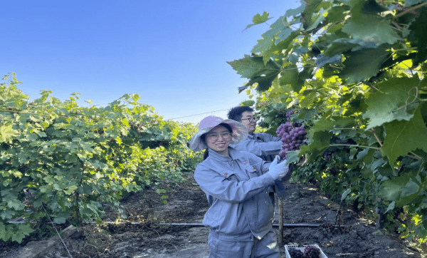 2023-11-10T02:40:05.png 2023-11-10T02:40:05.png