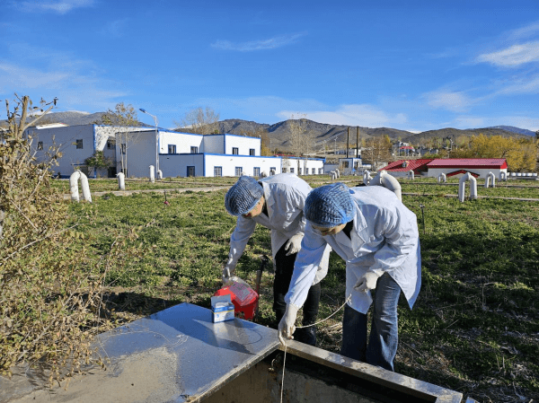 图片 1.png 图片 1.png