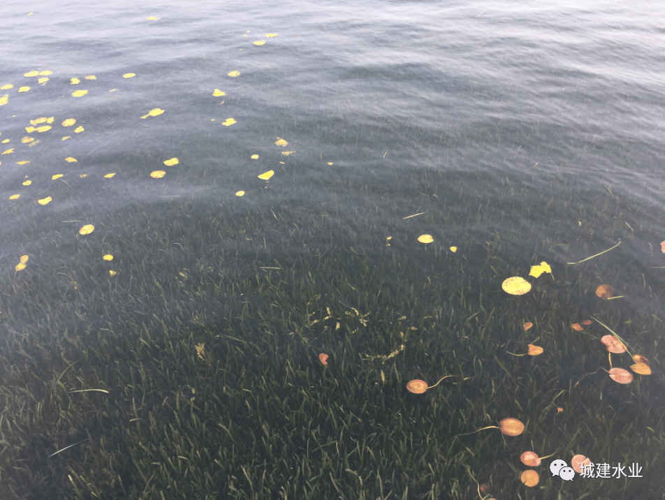 2023-11-01T01:55:42.png 2023-11-01T01:55:42.png