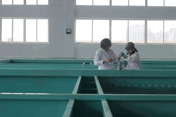 2023-11-16T01:42:05.png 2023-11-16T01:42:05.png