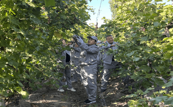 2023-11-10T02:40:19.png 2023-11-10T02:40:19.png