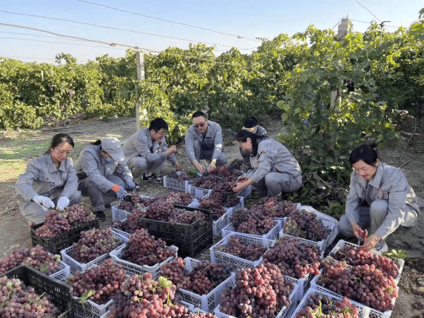 2023-11-10T02:40:12.png 2023-11-10T02:40:12.png