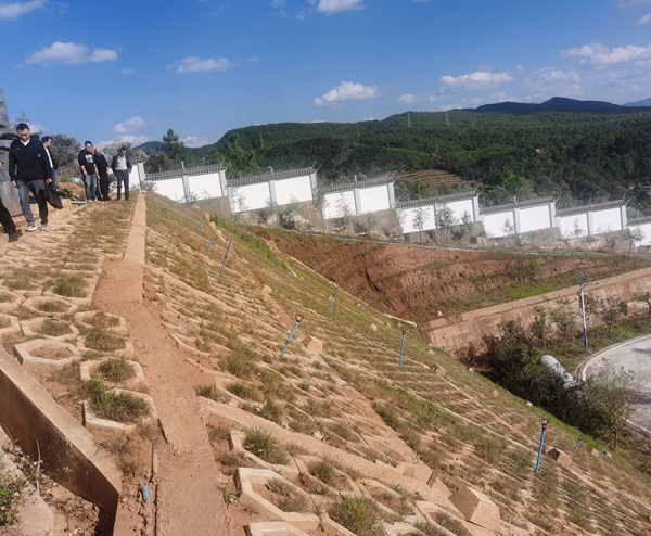 图片 1.png 图片 1.png