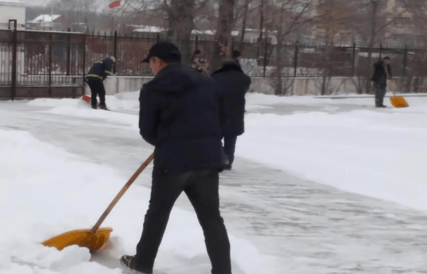 图片 1.png 图片 1.png