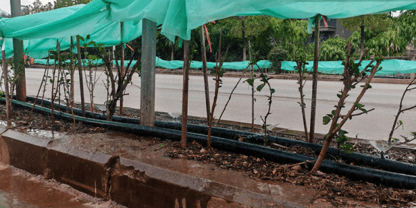 图片 2.png 图片 2.png