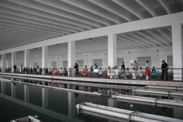 图片 1.png 图片 1.png